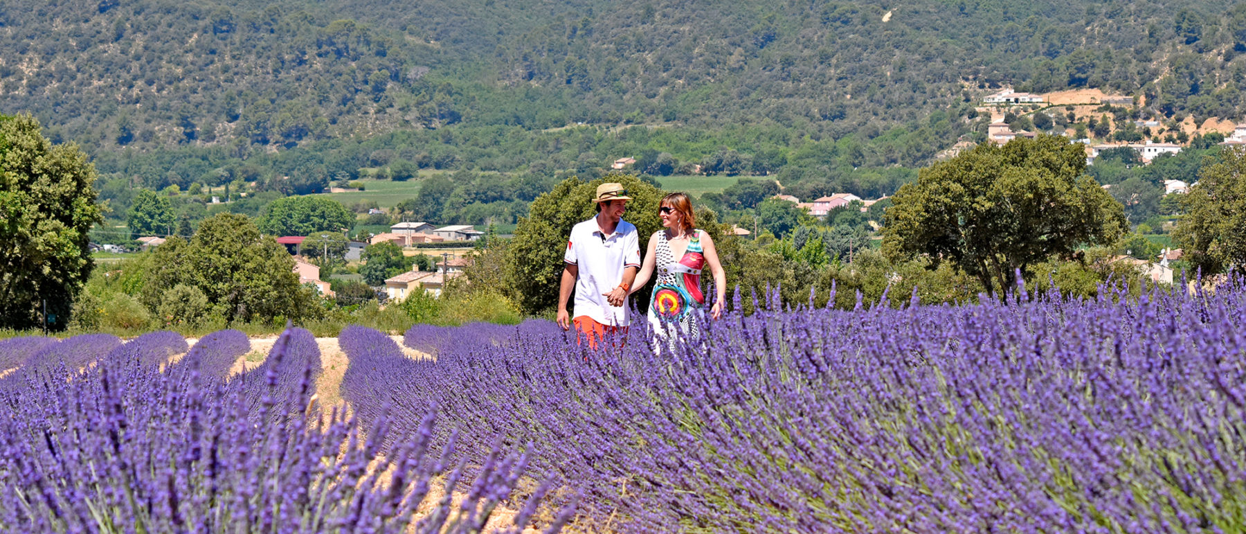 Couple en promenade dans les champs de Lavande à proximité du Camping La Pinède