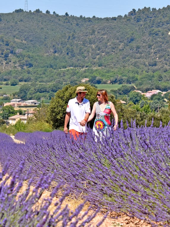 Couple en promenade dans les champs de Lavande à proximité du Camping La Pinède