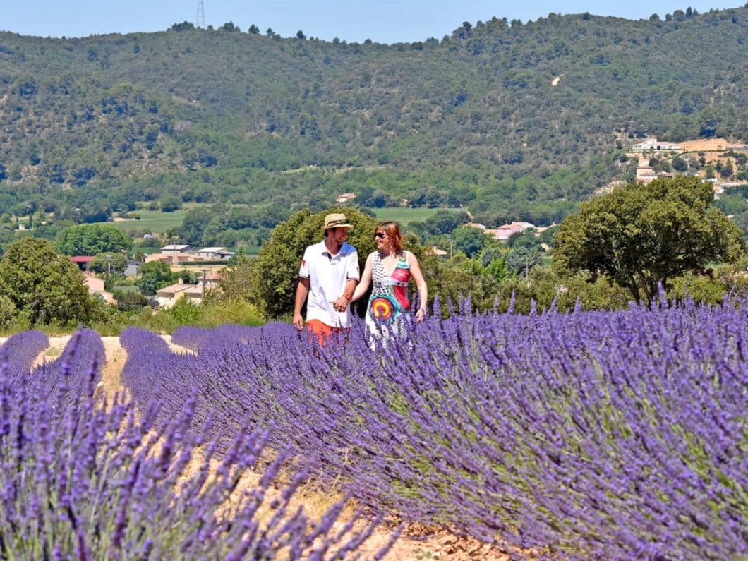 À l'ouest du Parc naturel du Verdon, Valensole est perché sur un plateau de lavandes